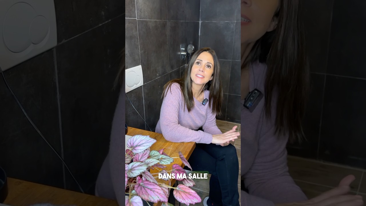 Les 3 plantes idéales pour ta salle de bain #orchid #salledebain #fougere #calathea