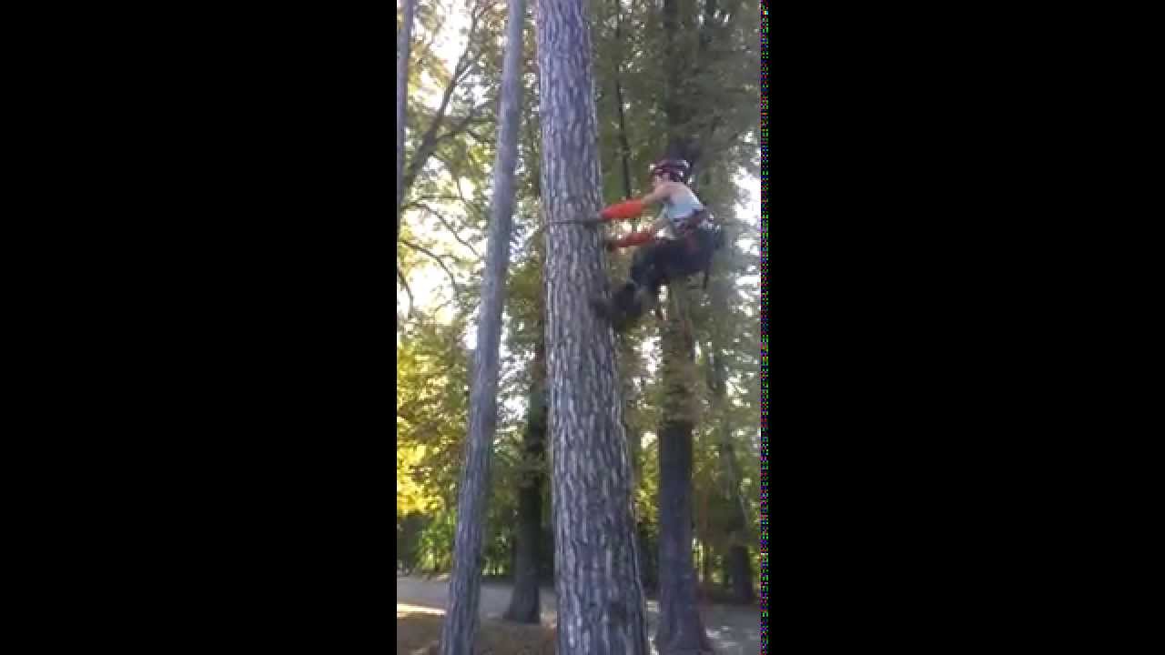 Démonstration d'une ascension au griffe (Maixent)