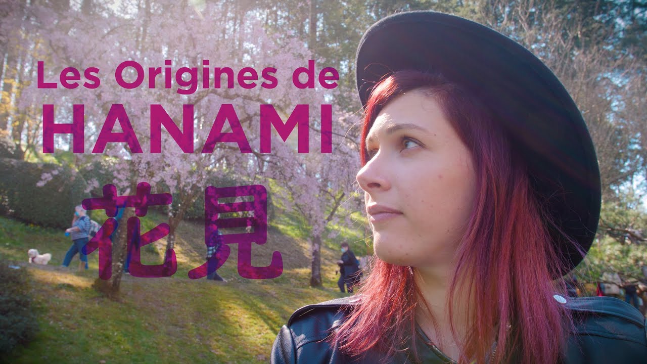HANAMI, qu'est ce que c'est?