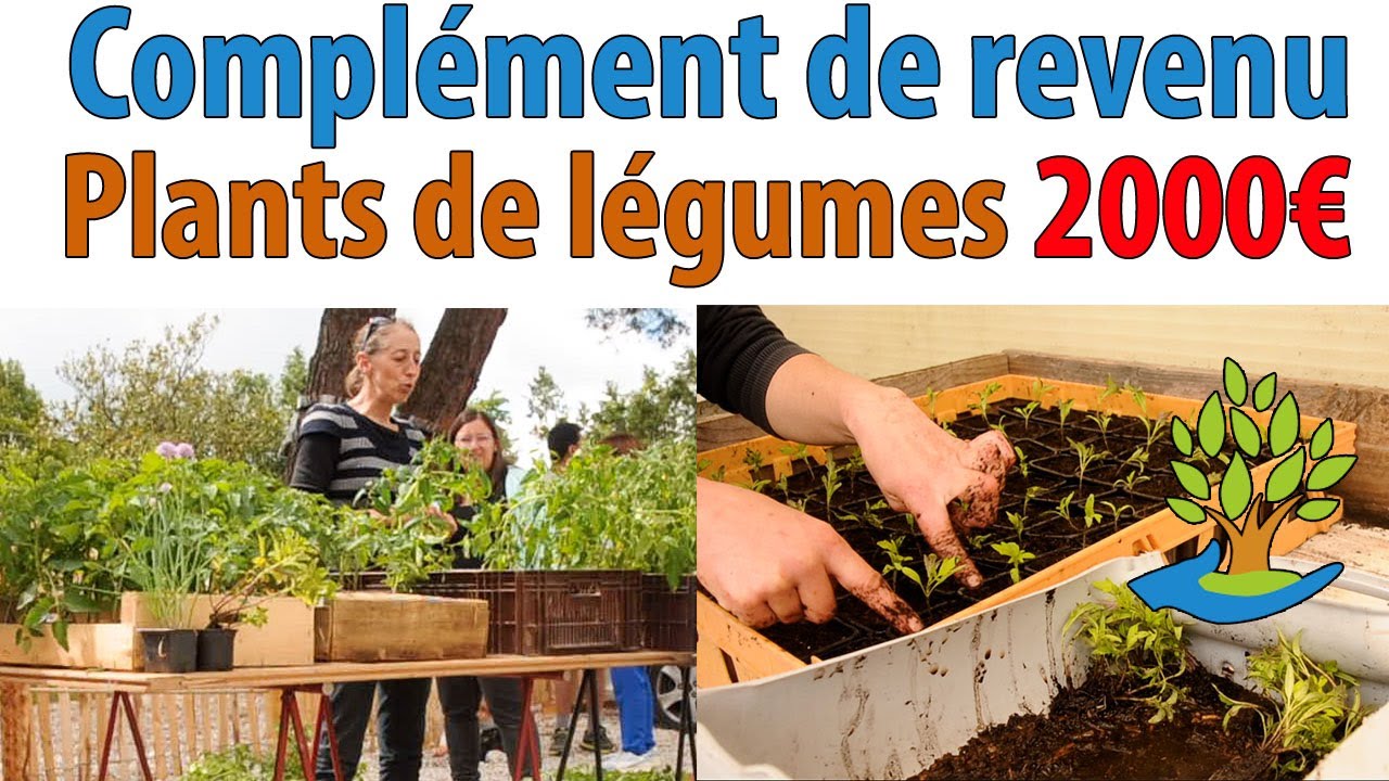 Complément de revenu : gagnez jusqu'à 2000€ avec la vente de plants de légumes