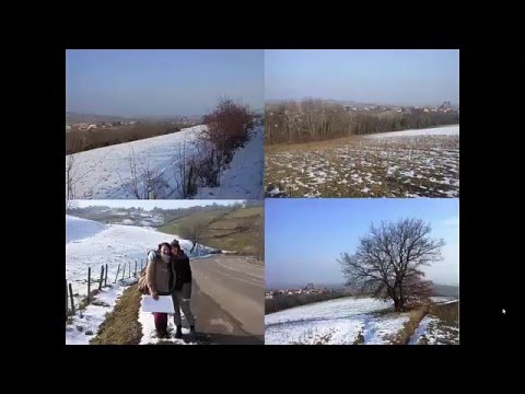 Inventaire des haies