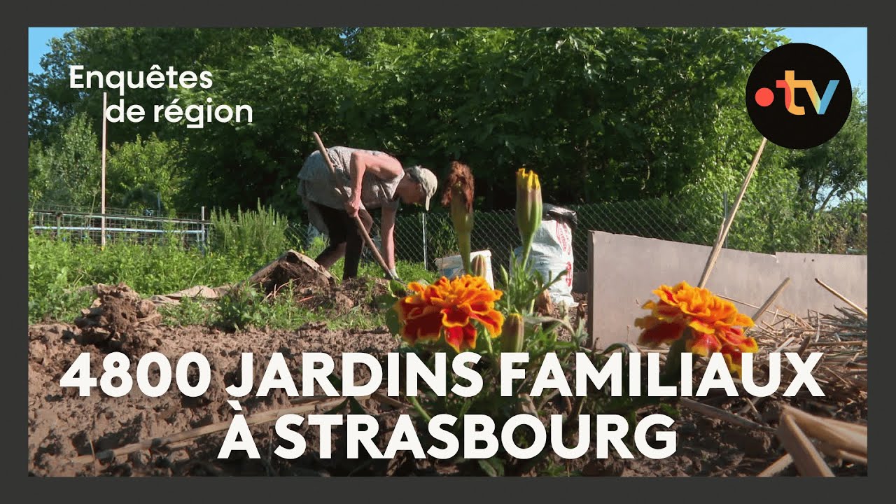 4800 jardins familiaux à Strasbourg