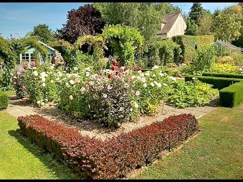 Un potager fleuri