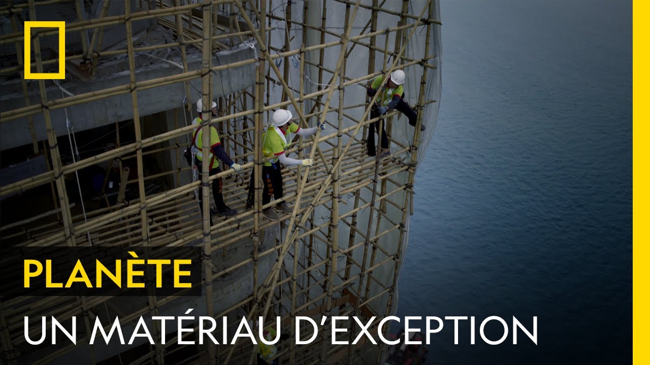 Pourquoi ces ouvriers préfèrent le bambou à l'acier