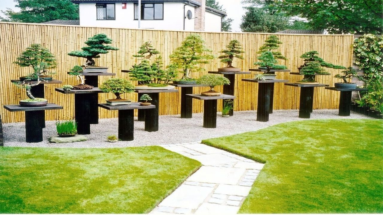 TOP! 80+ ARTISTIC BONSAI GARDEN DESIGNS | HOW TO SET UP YOUR OWN BEAUTIFUL BONSAI GARDEN IDEAS