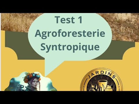 Test 1 Agroforesterie Syntropique aux Jardins Mon Plaisir