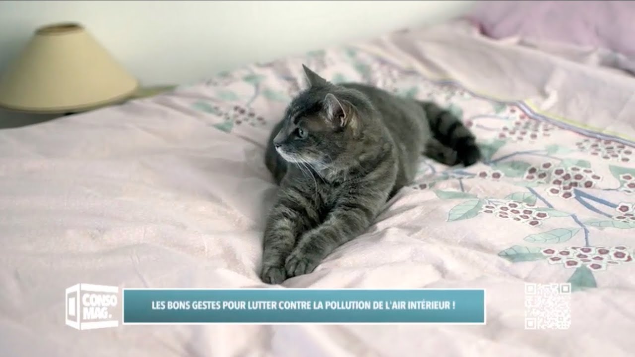 Les bons gestes pour lutter contre la pollution de l’air intérieur !