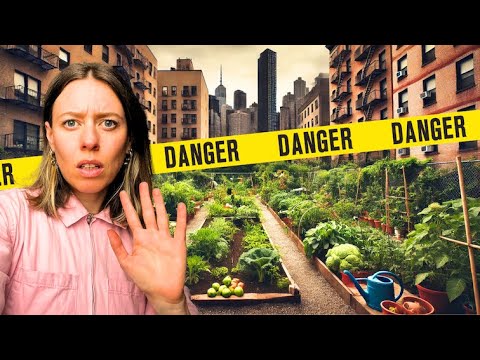 JARDINS COLLECTIFS : ce qu'on ne vous dit pas...