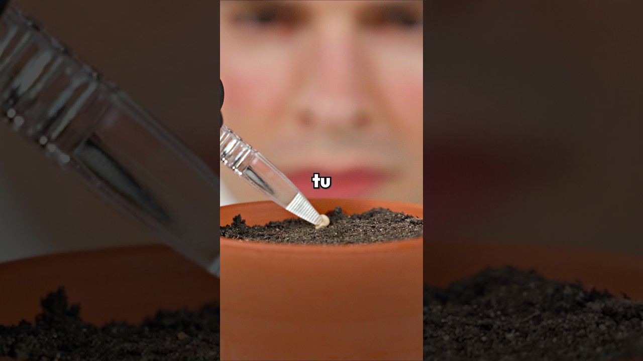 Le fruit le plus RENTABLE à planter ? 🌱 #science