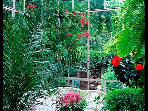 PLANTES DÉPOLLUANTES : EXPLICATION, PRÉSENTATION, CHOIX