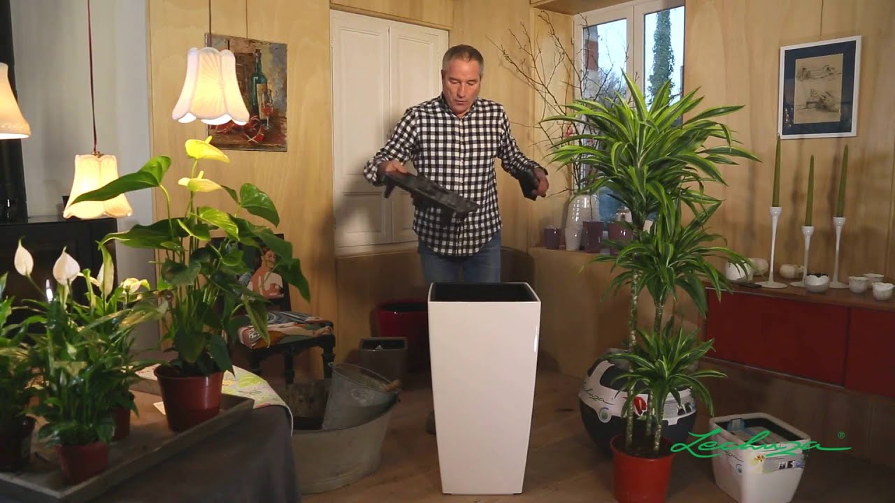 Sublimez vos plantes d'intérieur avec Stéphane Marie - Silence, ça pousse !