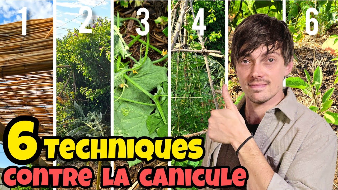 Les 6 MEILLEURS TECHNIQUES contre la canicule au jardin + visite du POTAGER