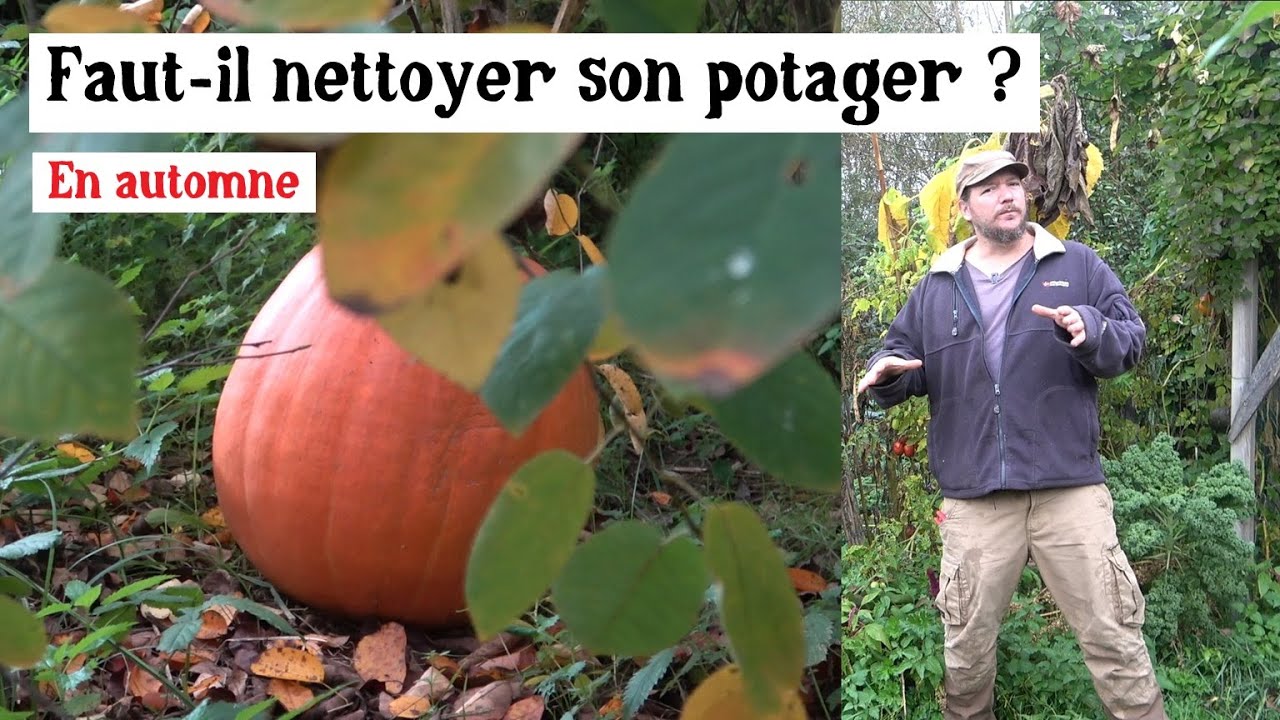 Comment entretenir le potager en automne sans abîmer le sol