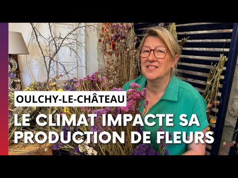 Une productrice de fleurs s'adapte aux aléas de la météo