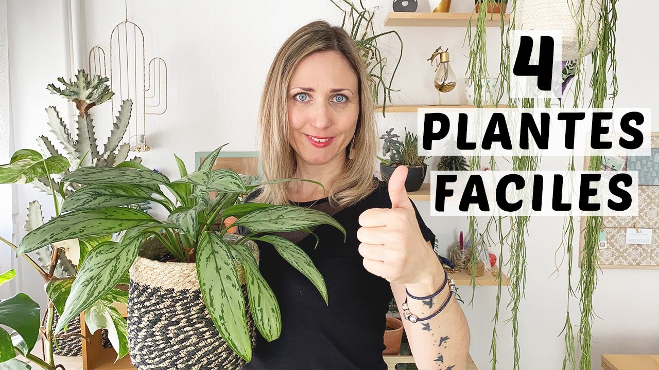 4 PLANTES FACILES À ENTRETENIR | PLANTES INCREVABLES 🌿