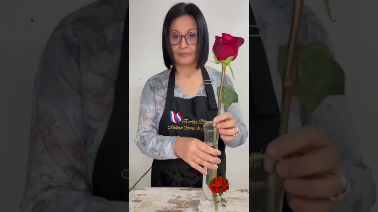 Astuce - comment choisir une belle rose et bien bien la conserver.