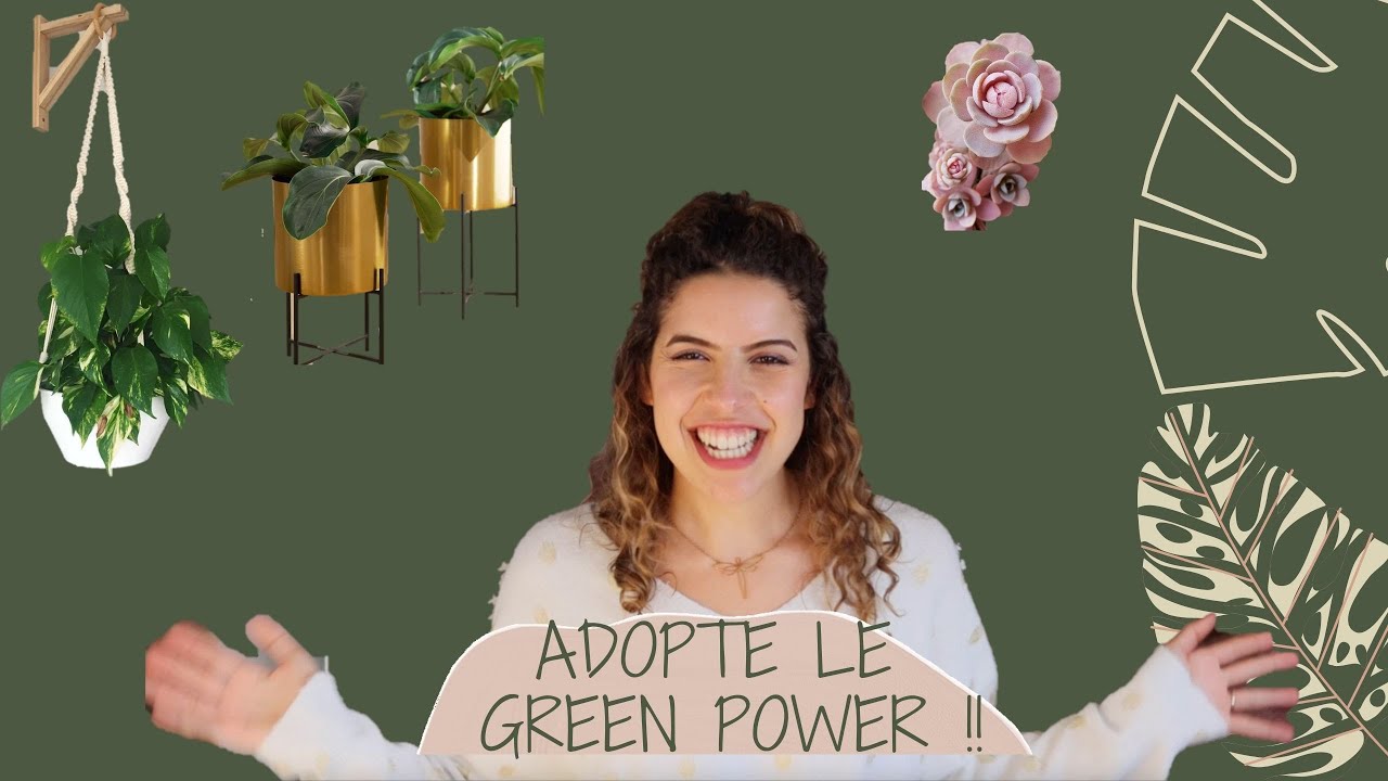 TENDANCES DÉCO ✿ Green power - comment intégrer les plantes dans son intérieur ?