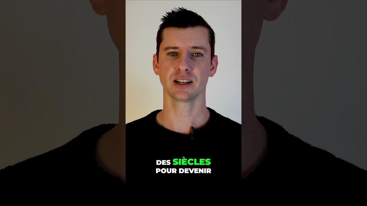 L'histoire du sushi, secrets ancestraux et passion culinaire #japon #tokyo #maki #sushi