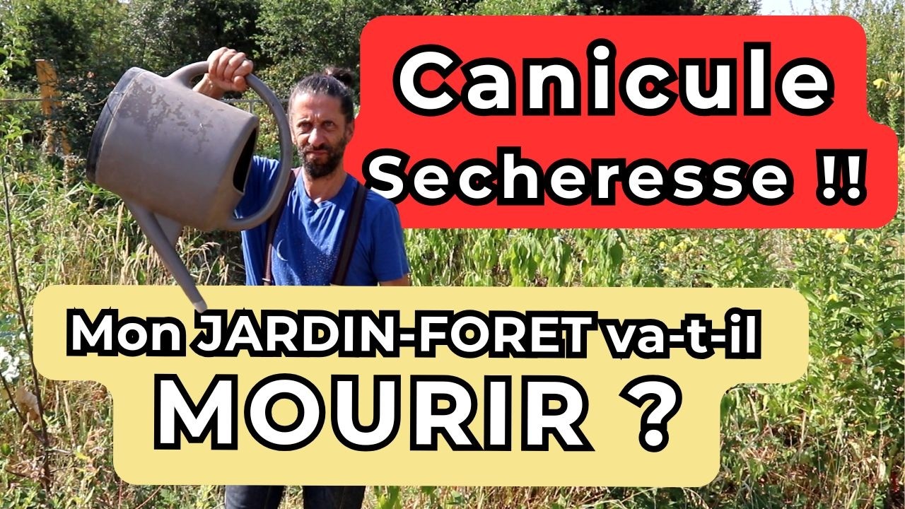 3e vague de canicule... Les jardin-forêts vont-ils tenir ?