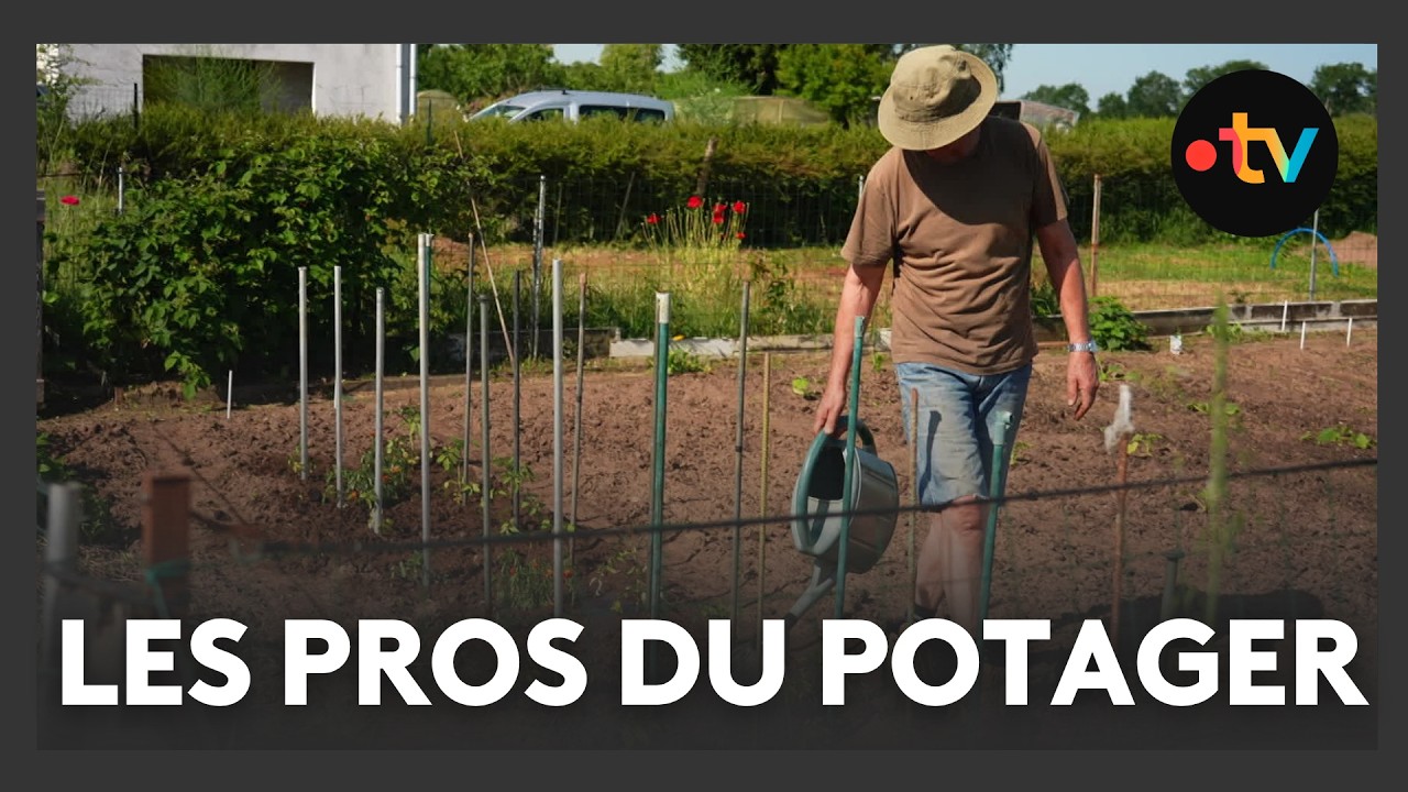 Une matinée dans les jardins familiaux d'Allonnes