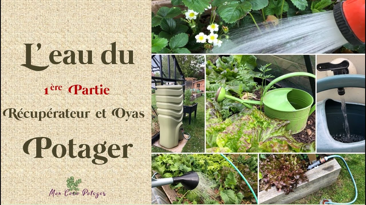 L'eau du potager  - 1ere partie :  Récupérateurs et Oyas
