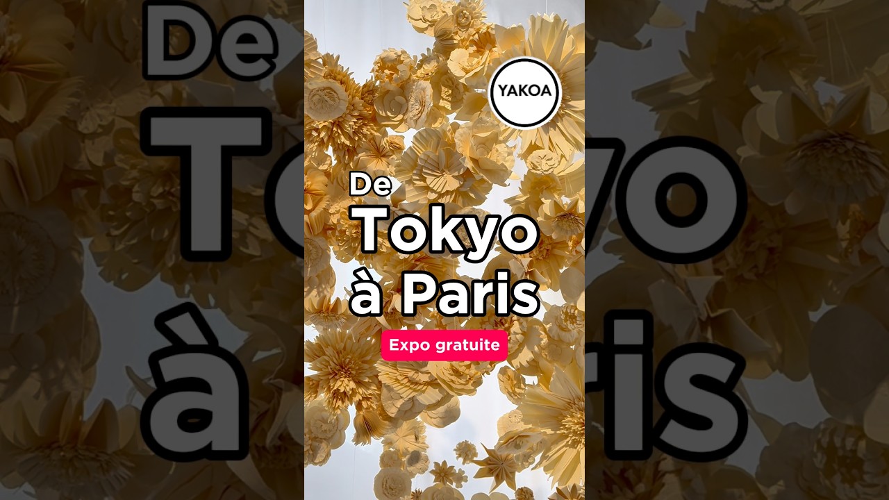 Exposition gratuite "Beyond our Horizons – Horizons partagés : de Tokyo à Paris" au 19m