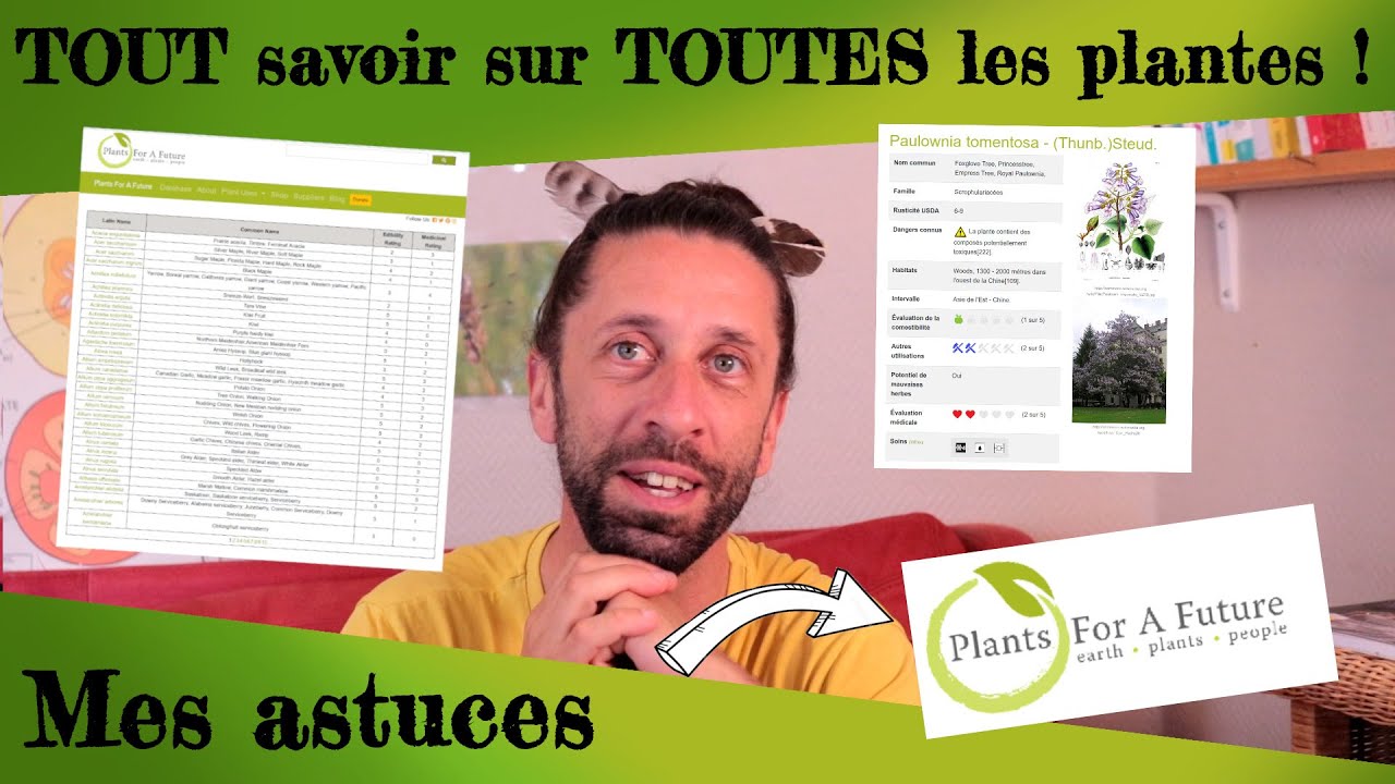 Mes astuces pour tout savoir, sur toutes les plantes ! C'est facile !