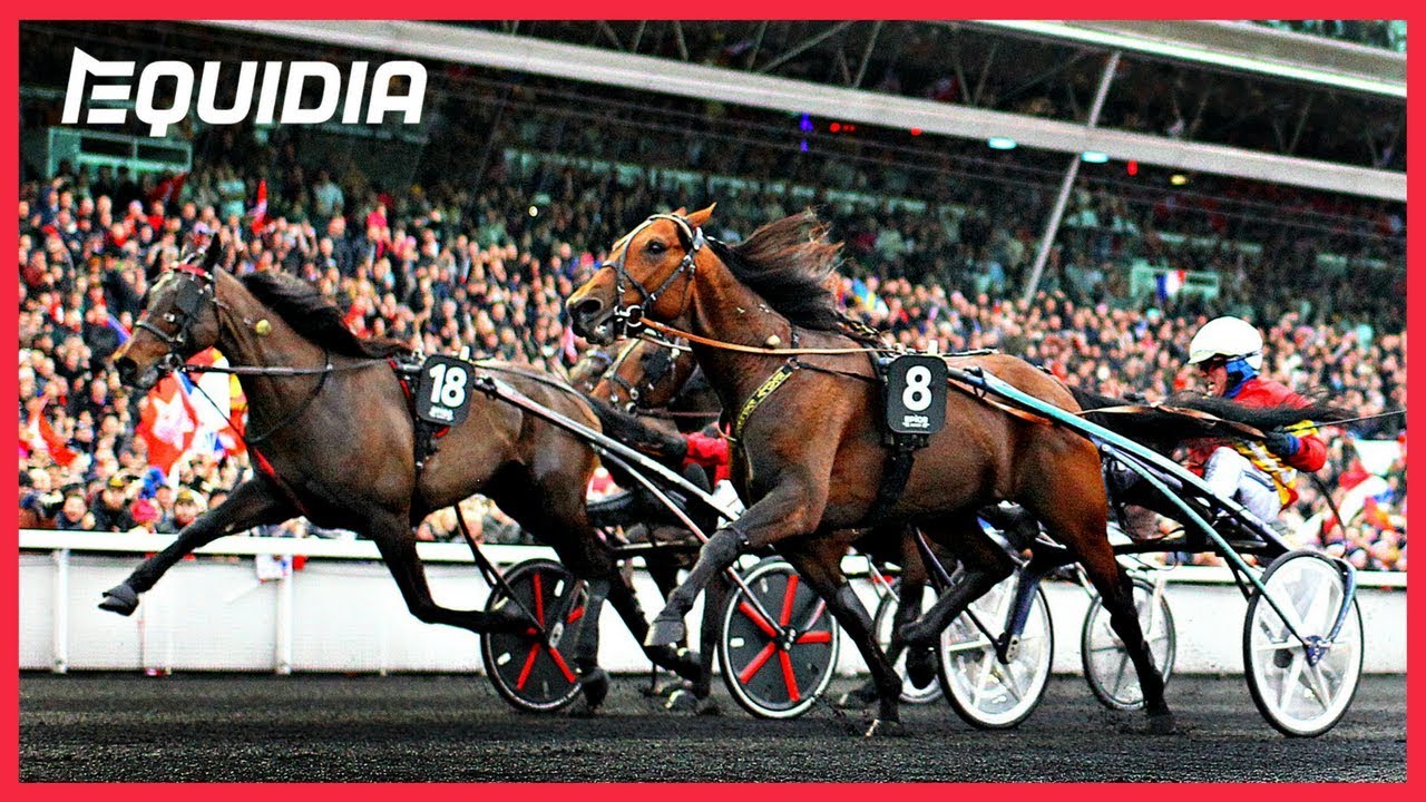 PRIX D'AMÉRIQUE 2018 : READLY EXPRESS DEVANT BOLD EAGLE !