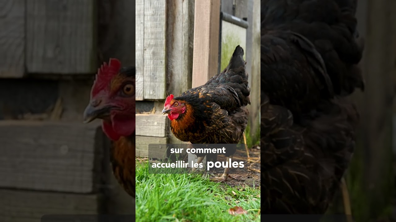 On plonge dans nos jardins en ce mois de mai !