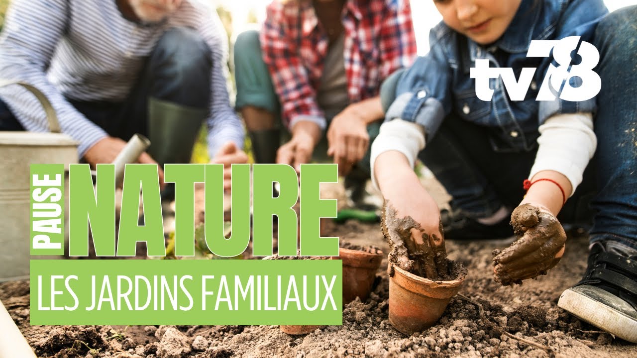Créer du lien social et cultiver : immersion dans des jardins familiaux