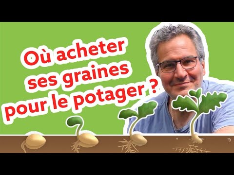Où acheter ses graines pour le potager (sans trop se ruiner) ? 😉