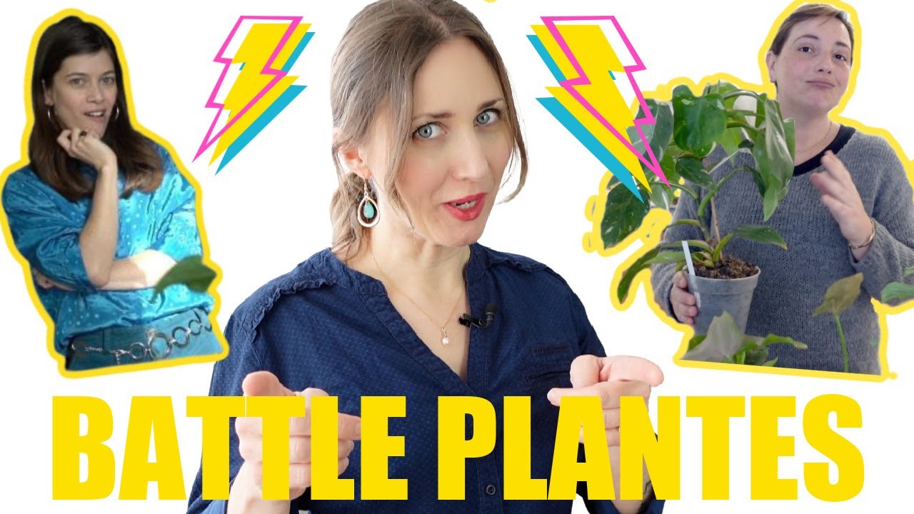Battle plantes : qui a la plus belle collection ? Vs. @mongangvert et @lepetitjardindebob