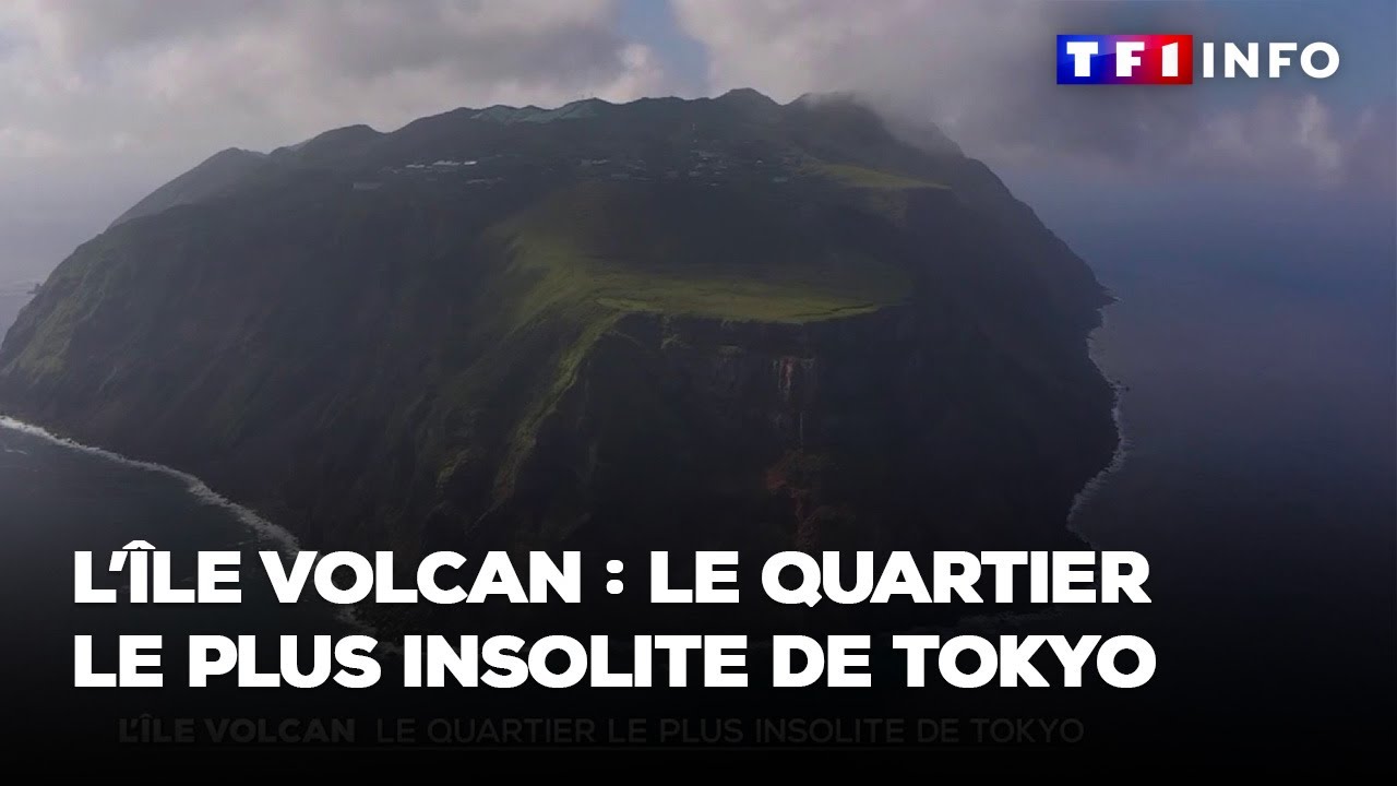 Direction l'île volcan : le quartier le plus insolite de Tokyo
