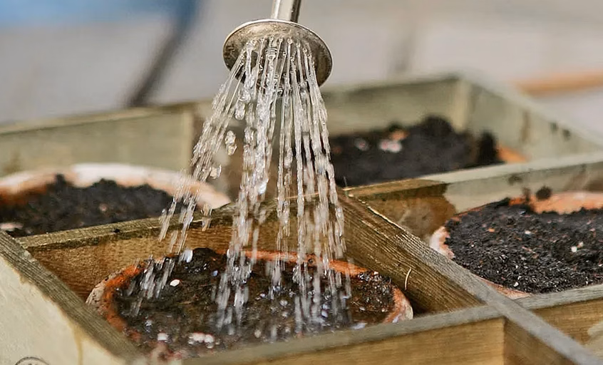 Bois brûlé huile de lin : comment les utiliser au jardin
