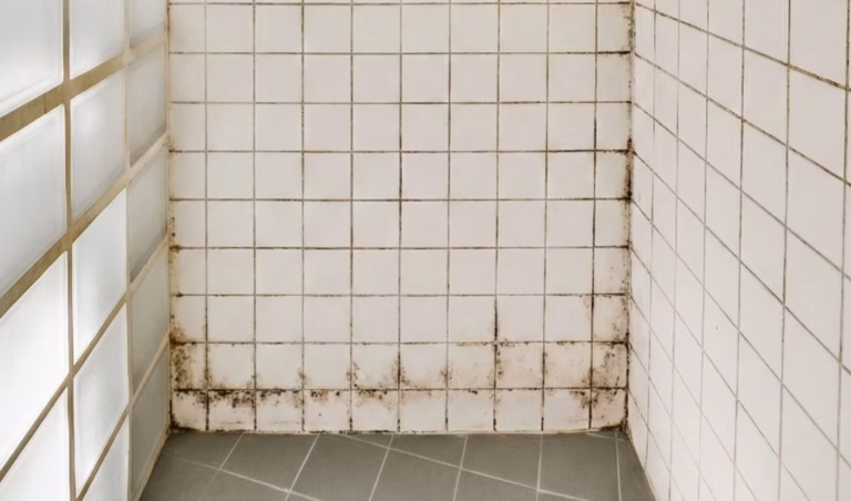 Combien coûte la rénovation d&rsquo;une salle de bain