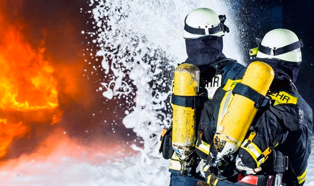 Ces cultures hydratées que les pompiers recommandent pour chaque potager afin de ralentir les incendies