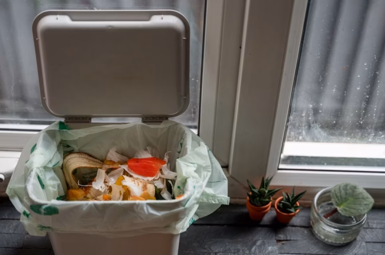 Le secret caché d’un déchet du potager qui a ruiné mes récoltes pendant trois ans malgré mon recyclage innocent