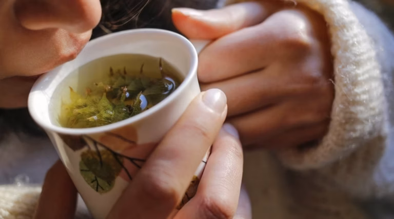 Jardin envahi par les limaces : la méthode britannique à seulement 0,25 € qui fait sensation