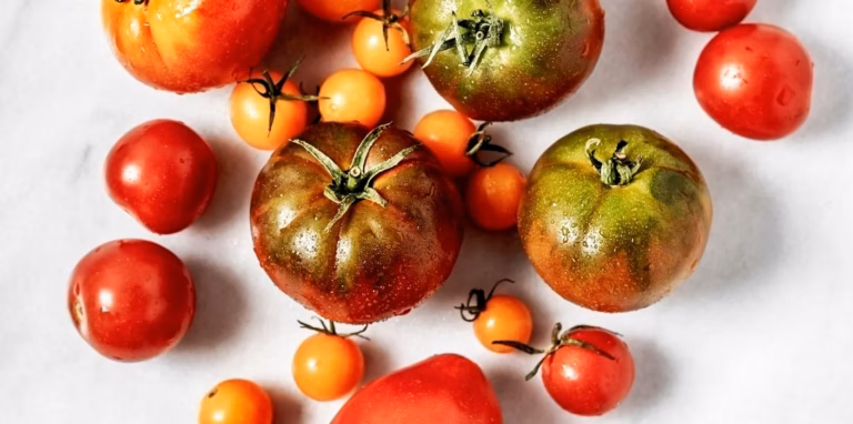« J&rsquo;étais prêt à tout déraciner » : comment un simple test de 5 secondes a sauvé mes tomates et mon potager après la catastrophe