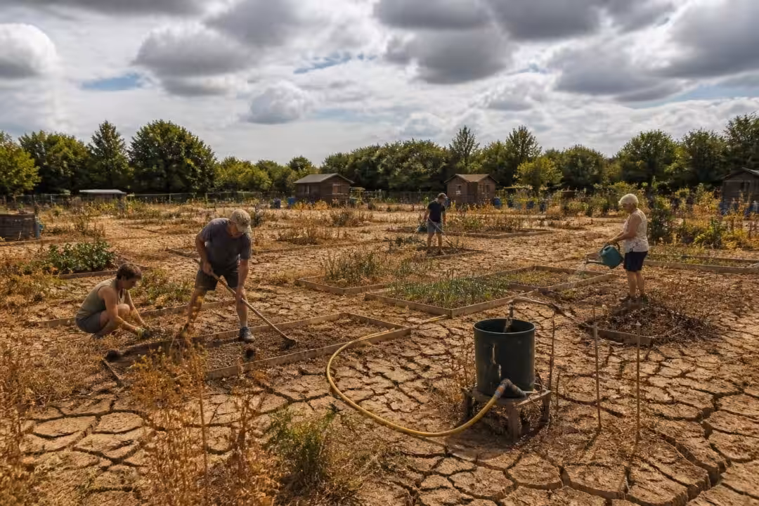 découvrez comment les jardins familiaux de saint-waast saint-médard luttent pour retrouver vie et verdure après un an sans eau, entre défis environnementaux et espoir de renaissance.
